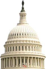 Congressional Investigations